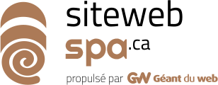 Conception web pour Spas - Géant du web